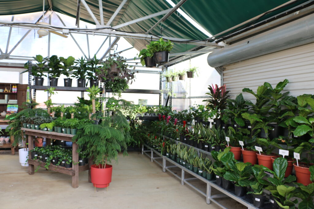 Christmas at The Farm Riddle Plant Farm